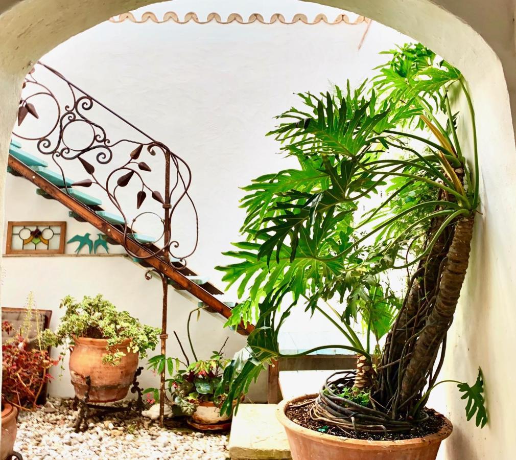 فيلا Casa Del Teatro Luxury Casas Vejer Debra مْبيخير ذي لا فرونتيرا المظهر الخارجي الصورة
