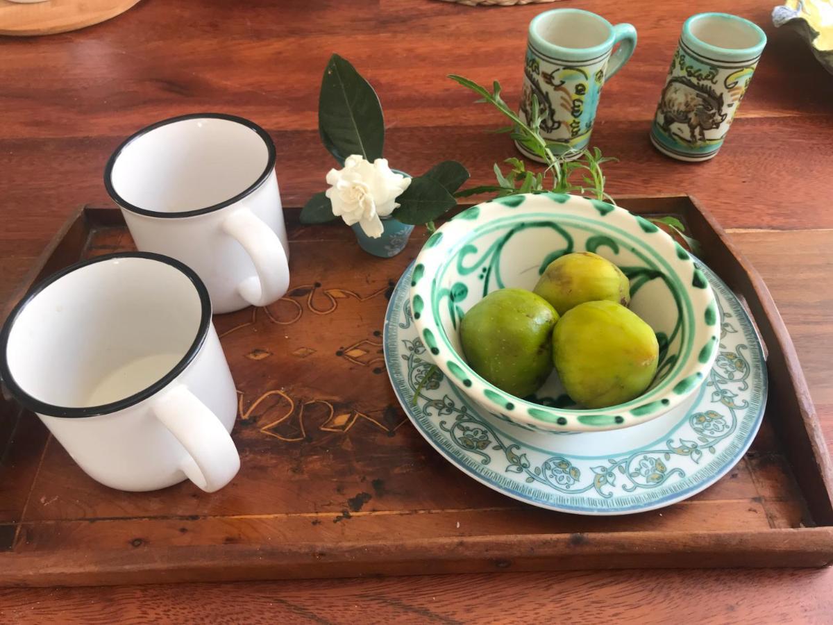 فيلا Casa Del Teatro Luxury Casas Vejer Debra مْبيخير ذي لا فرونتيرا المظهر الخارجي الصورة